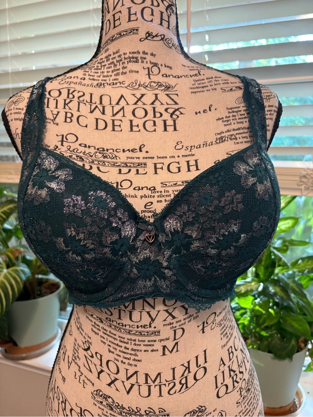Victoria's Secret Green Lace Underwire Bra 36DD